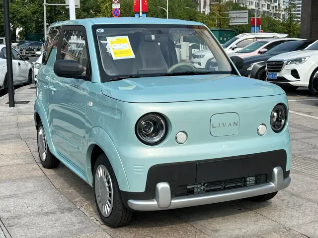Livan Ruilan Blue Elf — Фото автомобиля 6