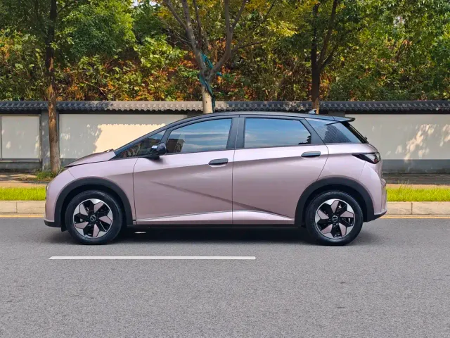 BYD Dolphin — Фото автомобиля 6