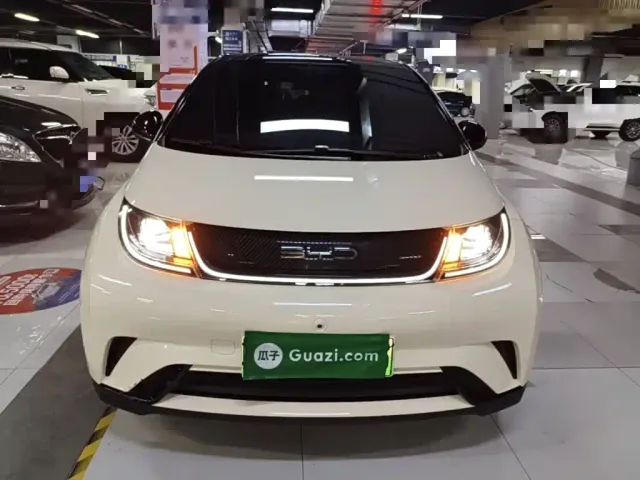 BYD Dolphin — Фото автомобиля 2