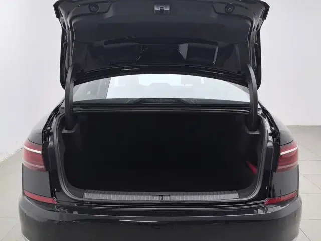 Volkswagen Passat — Фото автомобиля 16