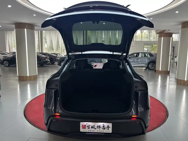 Tesla Model Y — Фото автомобиля 9