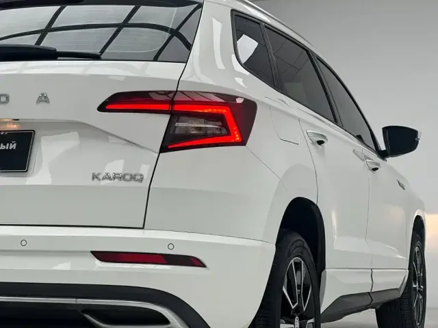 Skoda Karoq — Фото автомобиля 11