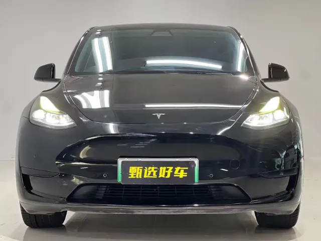 Tesla Model Y — Фото автомобиля 2
