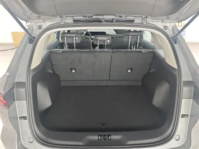 Ford Lingrui — Фото автомобиля 17