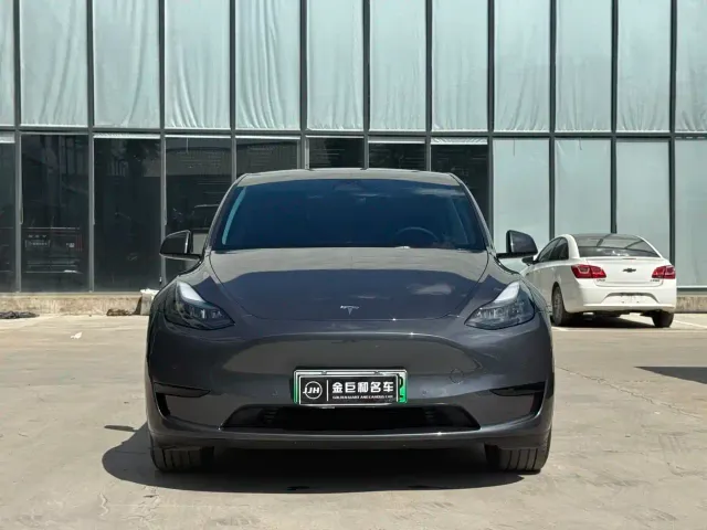 Tesla Model Y — Фото автомобиля 2