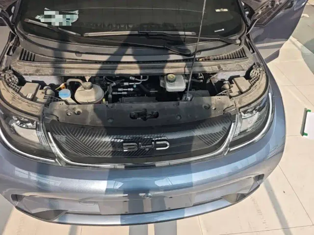 BYD Dolphin — Фото автомобиля 19