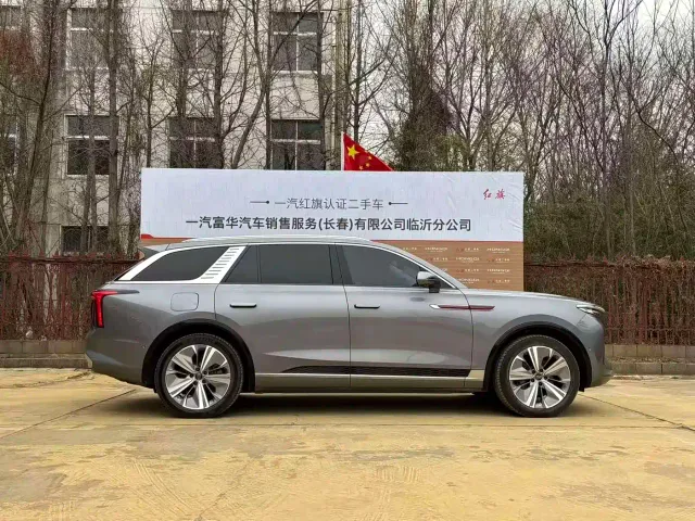Hongqi E-HS9 — Фото автомобиля 12