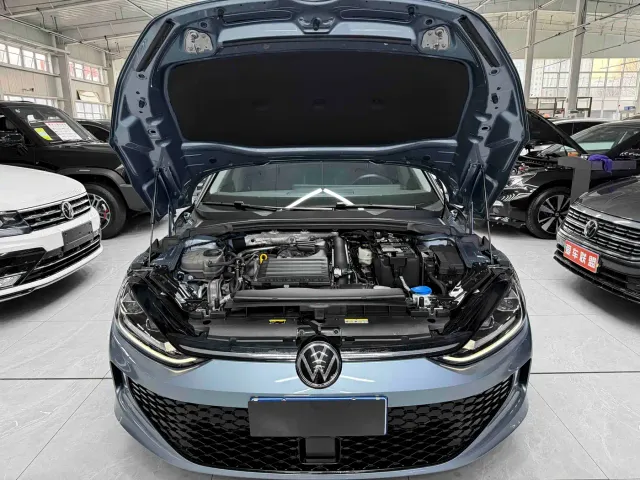 Volkswagen Lamando — Фото автомобиля 19