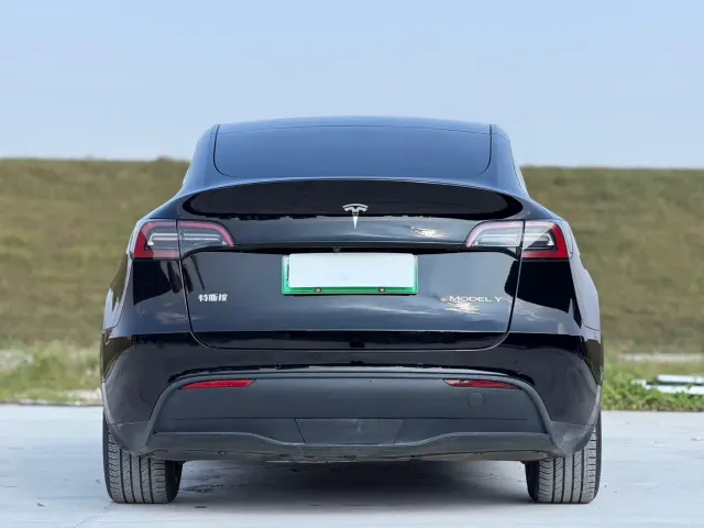 Tesla Model Y — Фото автомобиля 7