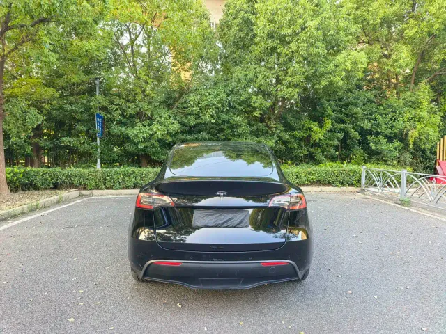 Tesla Model Y — Фото автомобиля 7