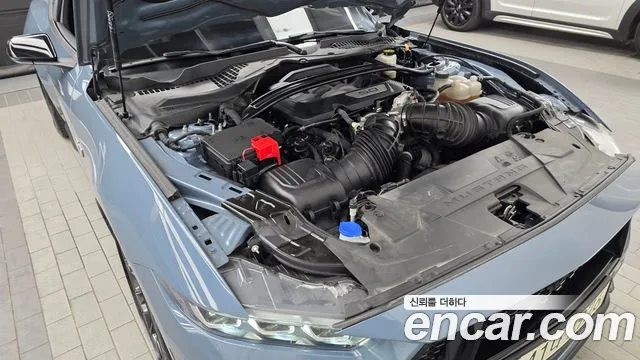 Ford Mustang Mustang 7 поколение 5.0 GT Premium Купе — Фото автомобиля 5
