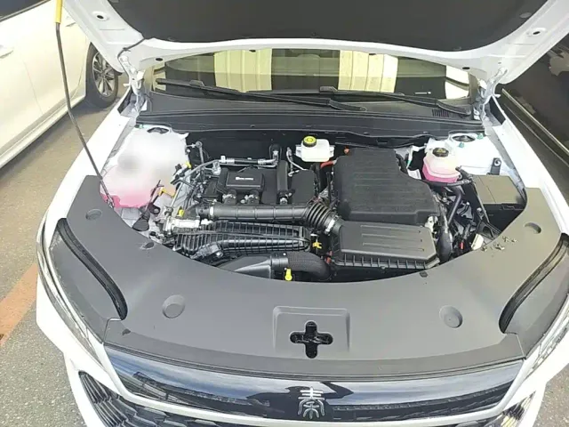 BYD Qin PLUS — Фото автомобиля 19