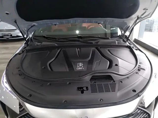 BYD Tang New Energy 2026 Smart Drive Edition DM-i 160KM Premium — Фото автомобиля 19