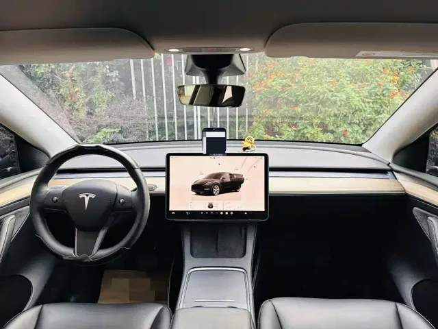 Tesla Model Y — Фото автомобиля 5