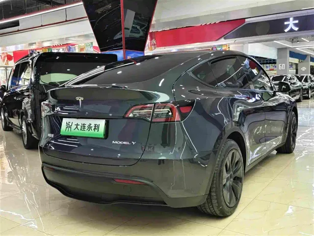 Tesla Model Y — Фото автомобиля 14