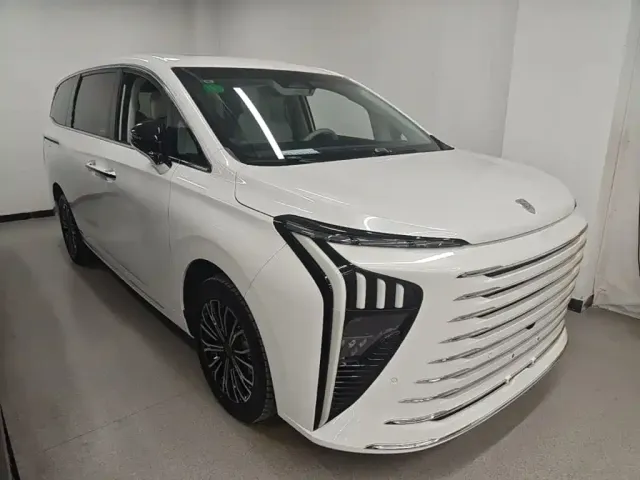 Forthing Xinghai V9 — Фото автомобиля 3