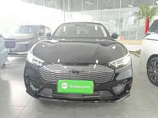 Ford Mustang Mach-E — Фото автомобиля 2