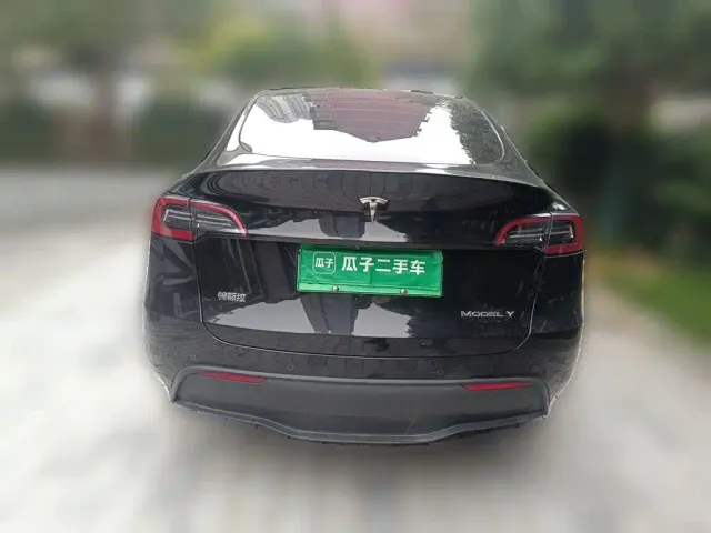 Tesla Model Y — Фото автомобиля 5