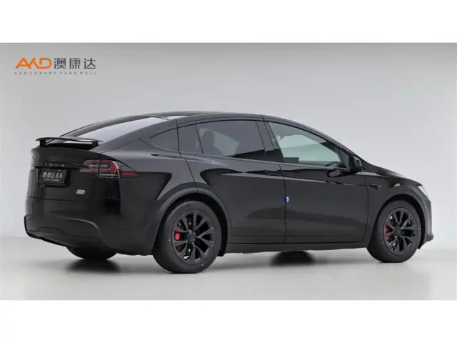 Tesla Model X — Фото автомобиля 3