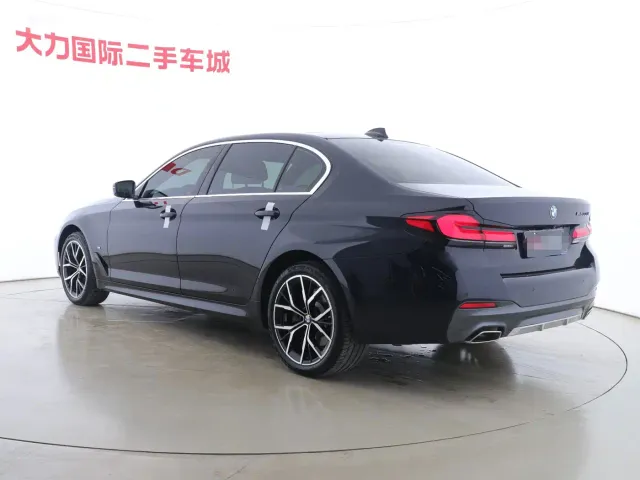 BMW 5 Series — Фото автомобиля 20