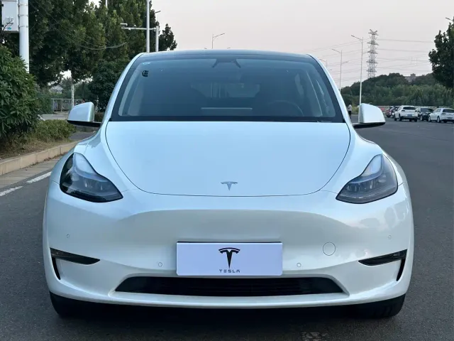 Tesla Model Y — Фото автомобиля 2