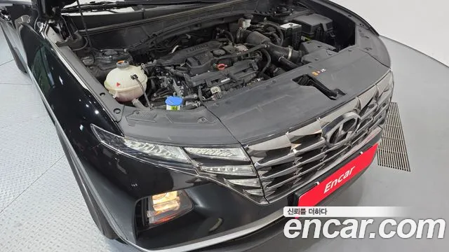 Hyundai Tucson Tucson (NX4) Бензин 1.6 турбо 2WD — Фото автомобиля 6