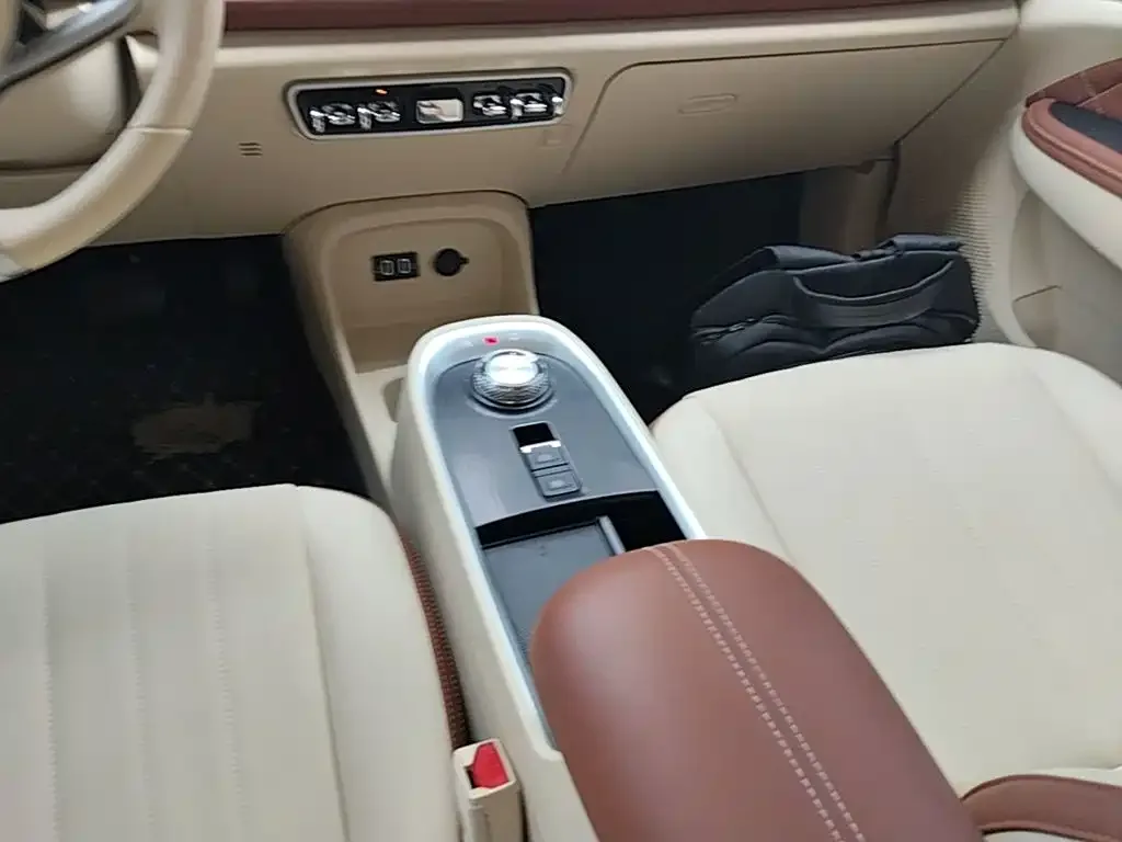 Ora Ora Good Cat 2021 400km Standard Range Venus Edition (LFP) — Фото автомобиля 13