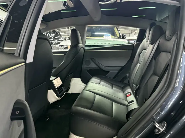 Tesla Model 3 — Фото автомобиля 10