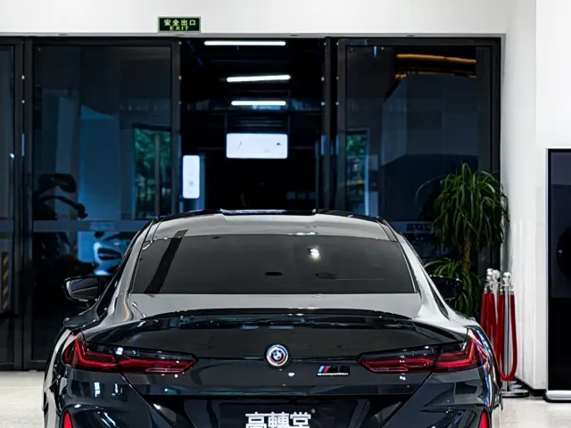 BMW M8 — Фото автомобиля 20