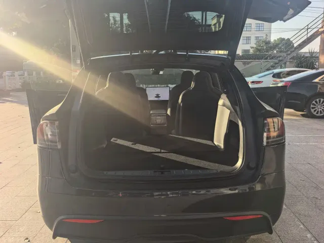 Tesla Model X — Фото автомобиля 10