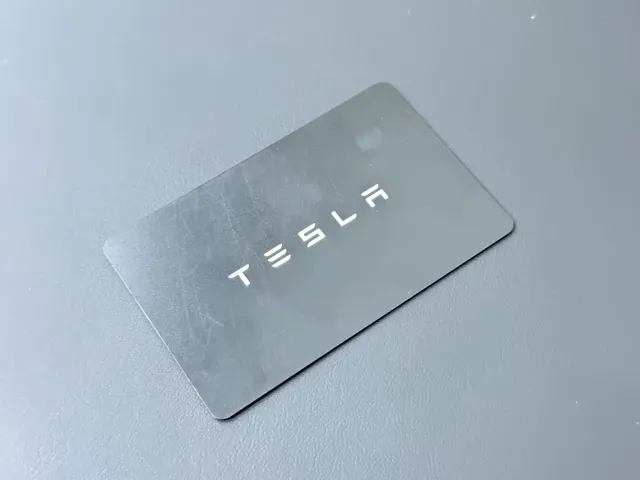 Tesla Model 3 2021 Facelift Standard Range RWD Upgrade 3D1 — Фото автомобиля 20
