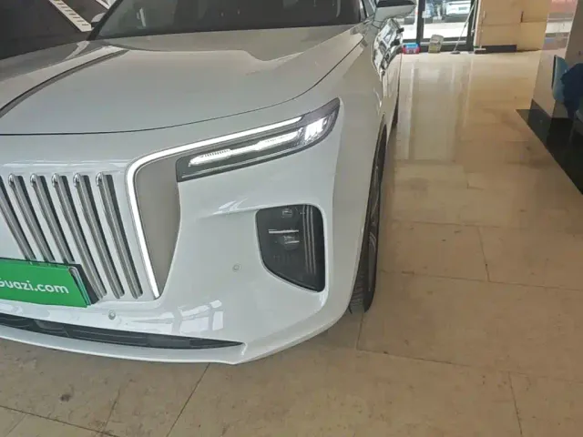 Hongqi E-HS9 — Фото автомобиля 23