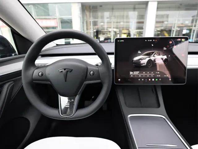 Tesla Model Y — Фото автомобиля 10
