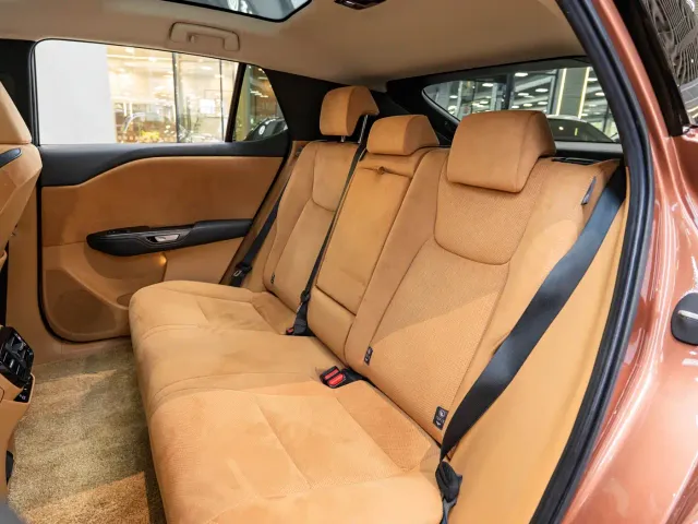 Lexus RZ — Фото автомобиля 12