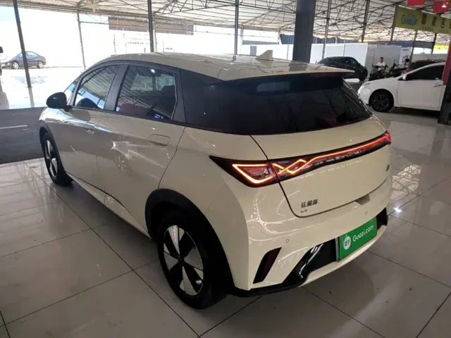 BYD Dolphin — Фото автомобиля 22