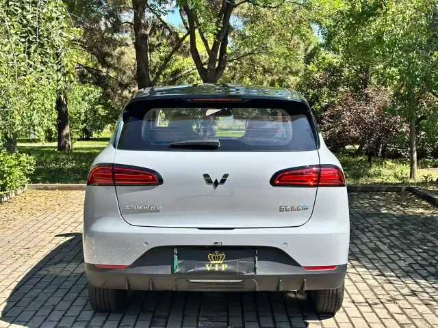Wuling Binguo PLUS — Фото автомобиля 9