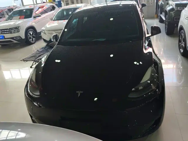 Tesla Model Y — Фото автомобиля 2