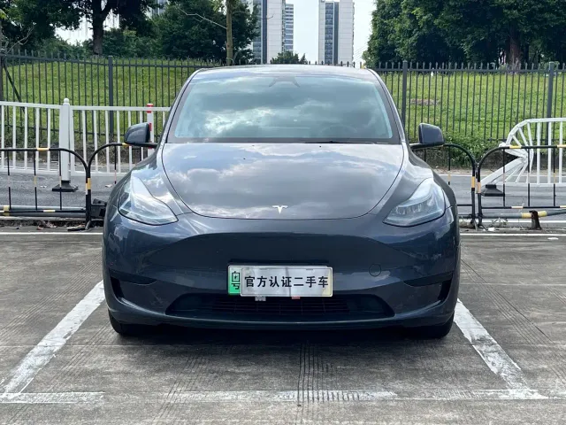 Tesla Model Y — Фото автомобиля 2