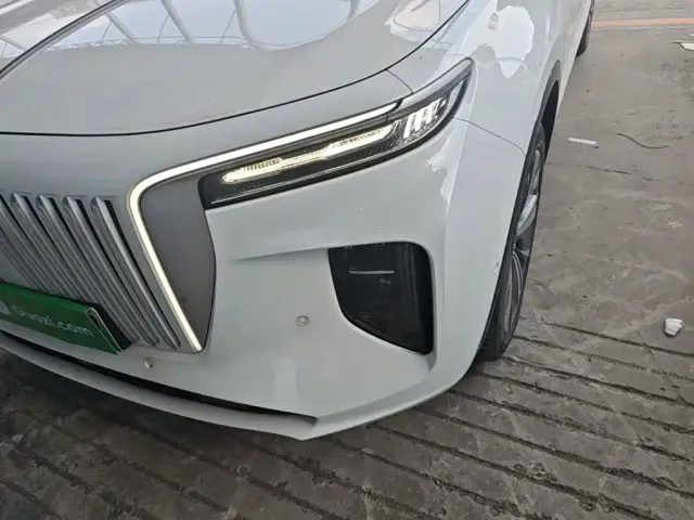 Hongqi E-HS9 — Фото автомобиля 23