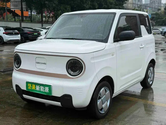 Фотография автомобиля — Geely Panda