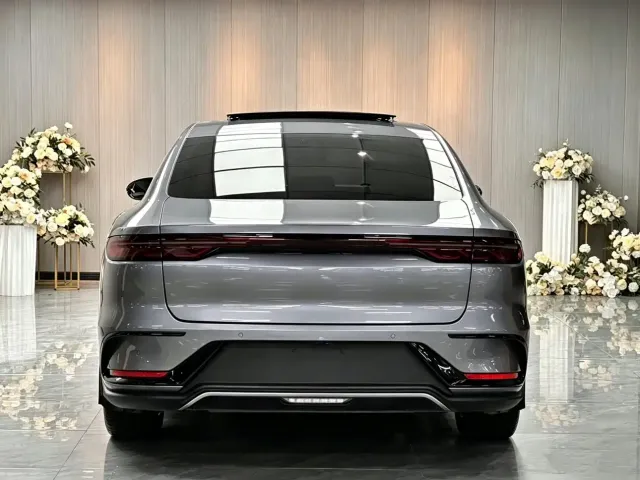 BYD Han — Фото автомобиля 6