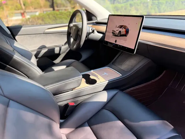 Tesla Model Y — Фото автомобиля 10