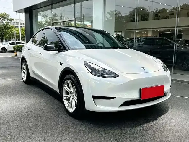 Tesla Model Y — Фото автомобиля 3
