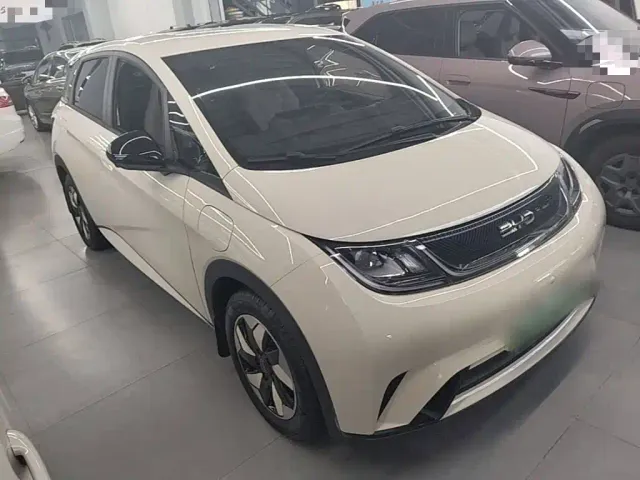BYD Dolphin — Фото автомобиля 21