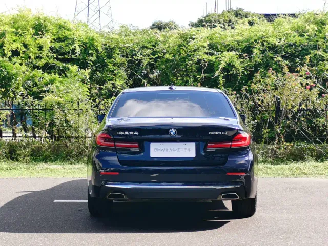 BMW 5 Series — Фото автомобиля 5