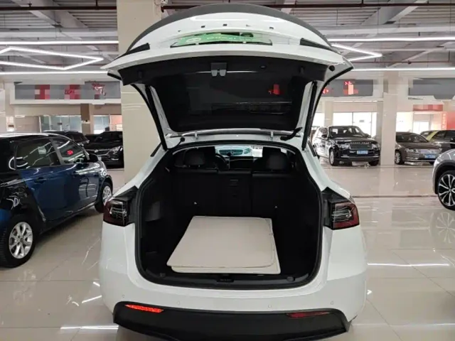 Tesla Model Y — Фото автомобиля 18