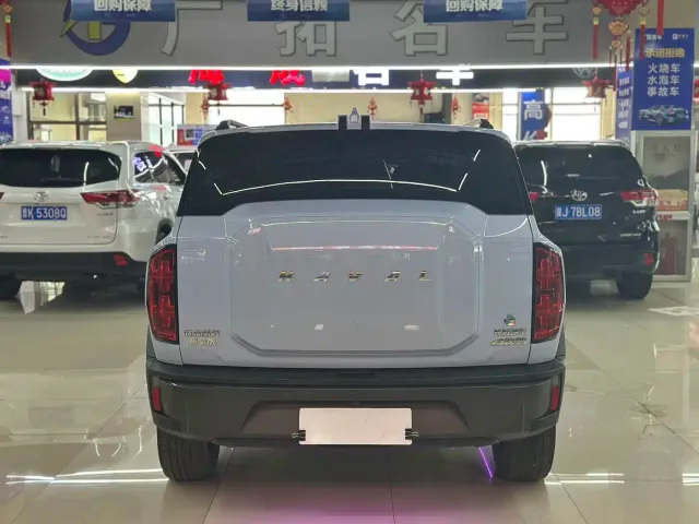 Haval Cool Dog — Фото автомобиля 7