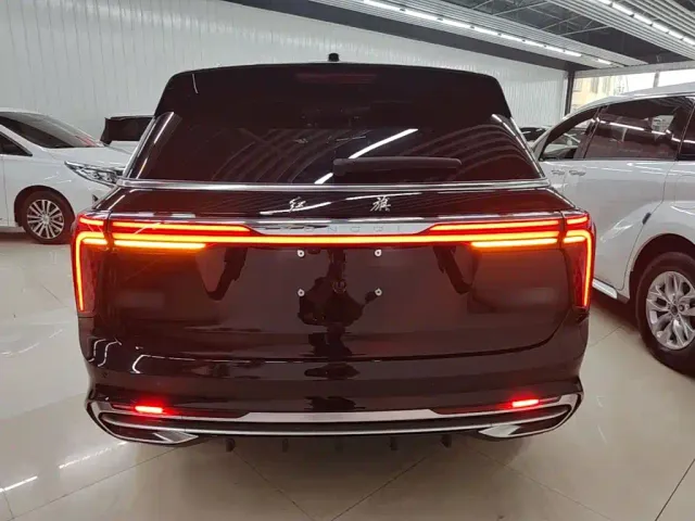 Hongqi E-HS9 — Фото автомобиля 5