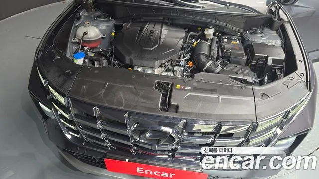 Hyundai Tucson Tucson (NX4) Дизель 2.0 4WD — Фото автомобиля 6