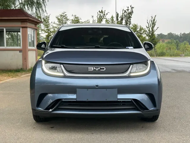 BYD Dolphin — Фото автомобиля 2